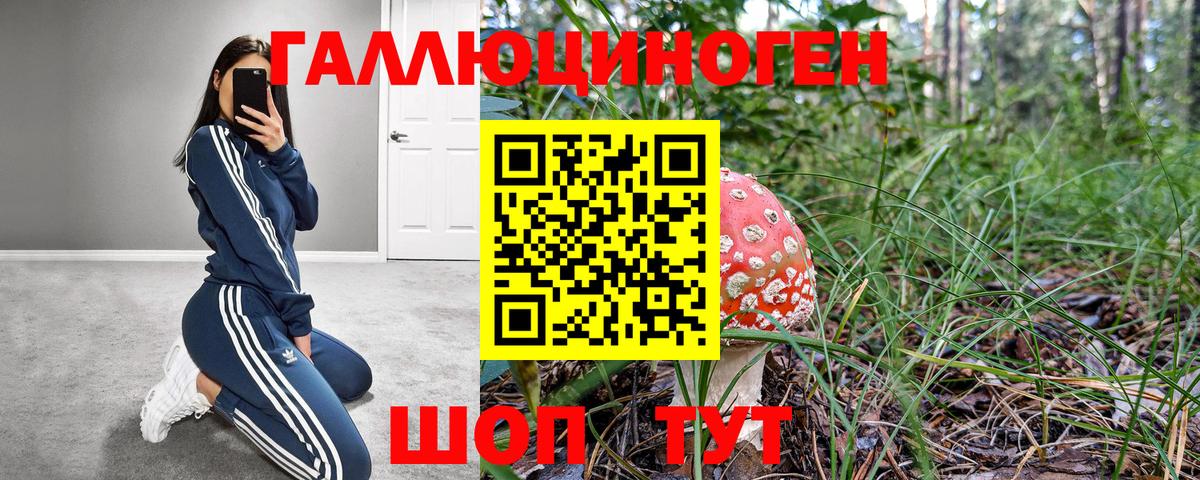 Глазов  Галлюциногенные грибы ЛСД  Вход с VPN 