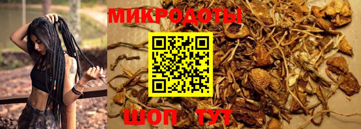 Галлюциногенные грибы мухоморы Глазов